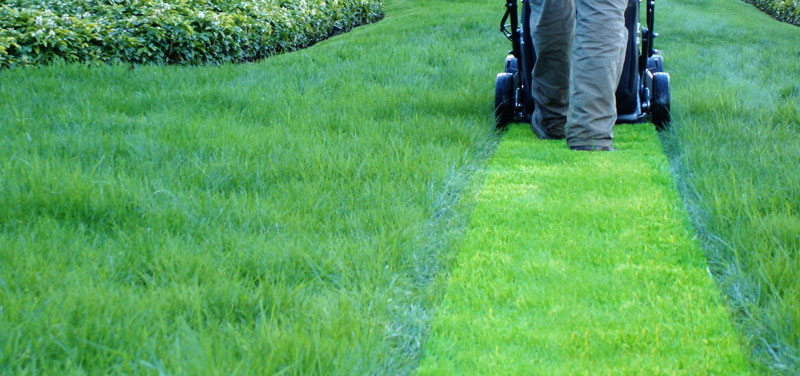 Cutting local Miramar, FL Lawn with electric lawn mower